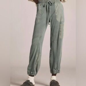 Daily Practice by Anthropologie killington pants